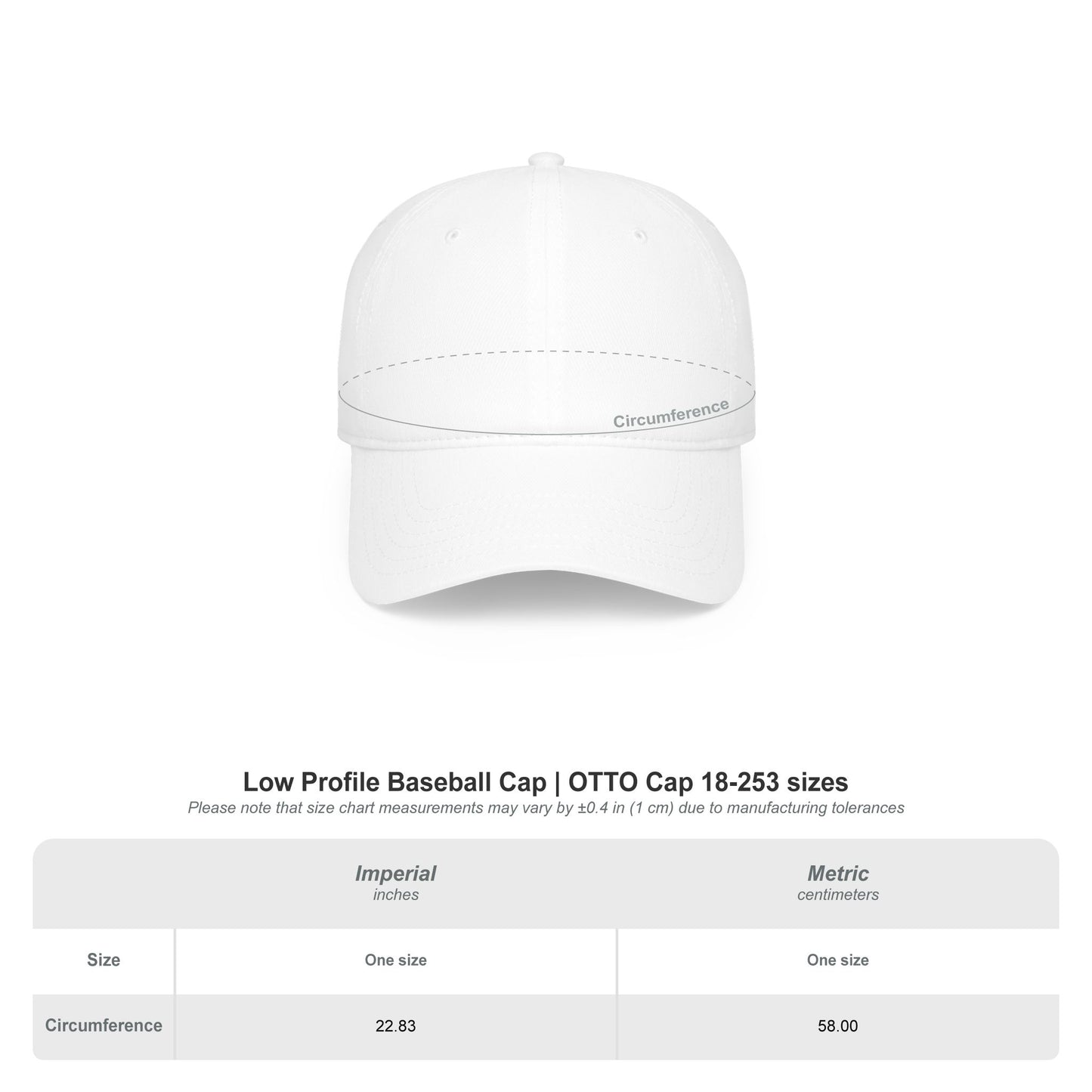 Low Profile Baseball Cap — "Living an Absurd Life & Loving It"