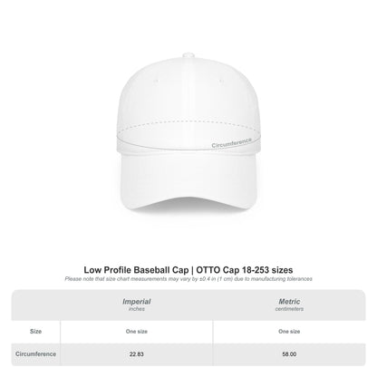 Low Profile Baseball Cap — "Living an Absurd Life & Loving It"
